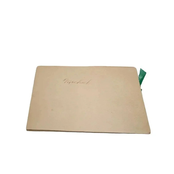 1919 Souvenir de France Floral Embroidered Color Antique Postcard Booklet - Picture 8 of 10